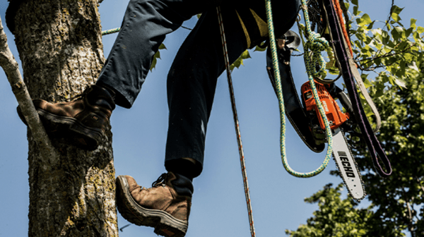 Close-up shot of arborist with his chainsaw